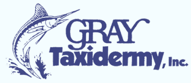 gray taxidermy
